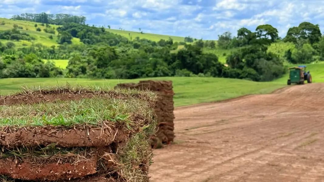 Campo de produção
