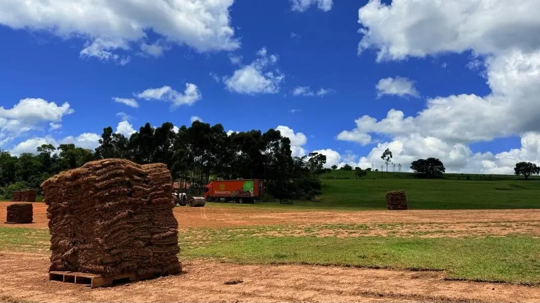 Trabalho no campo