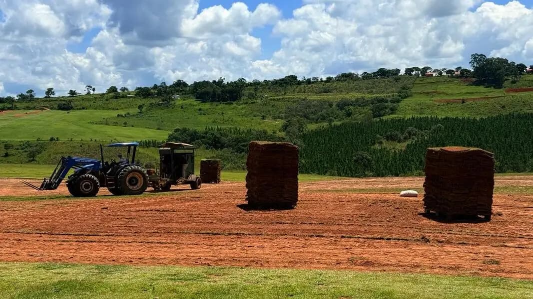 Área de cultivo extensa